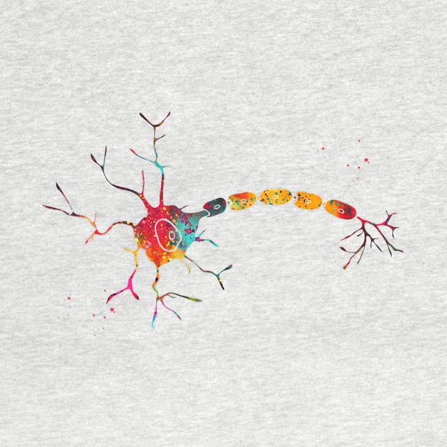 Anatomy of a typical human neuron by erzebeth